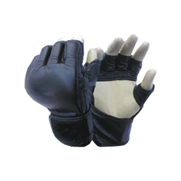 Grappling Gloves 