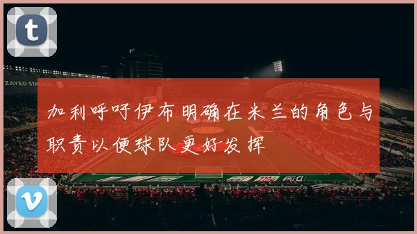 加利呼吁伊布明确在米兰的角色与职责以便球队更好发挥