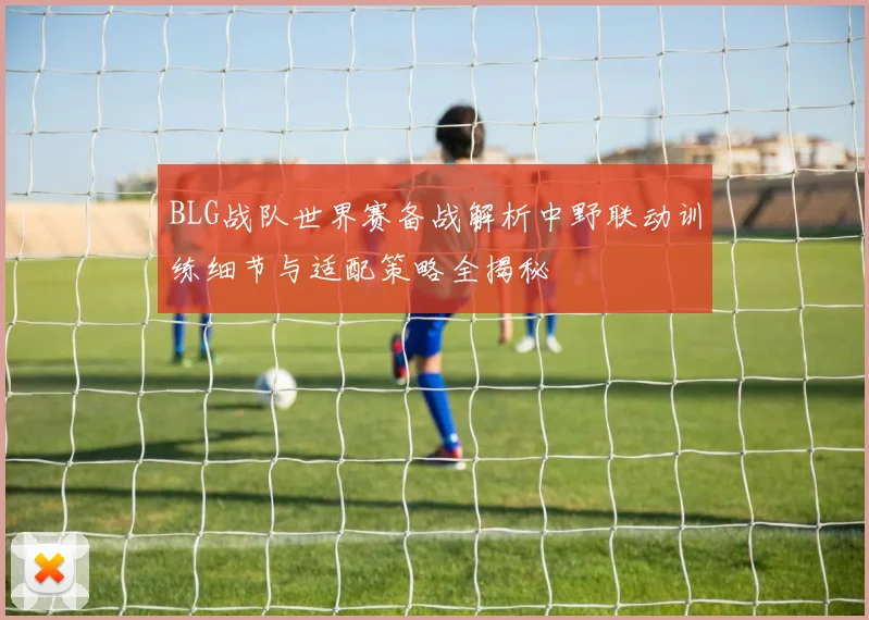 BLG战队世界赛备战解析中野联动训练细节与适配策略全揭秘